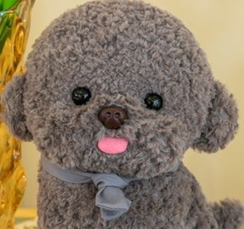 https://fulmo-img-server.com/mohumohudog/1785391179405_50wf4bym_1udobi79.jpeg