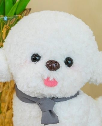 https://fulmo-img-server.com/mohumohudog/1785391223954_6q2clzp6_1v4f3kug.jpeg