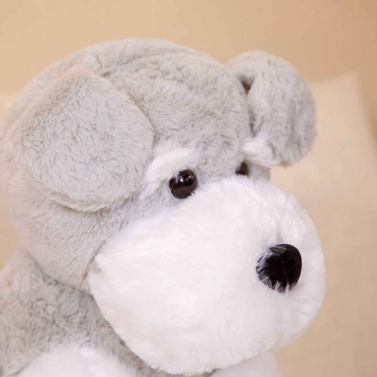 https://fulmo-img-server.com/mohumohudog/1786078167045_wt6ad59j_h07iohz6.jpeg