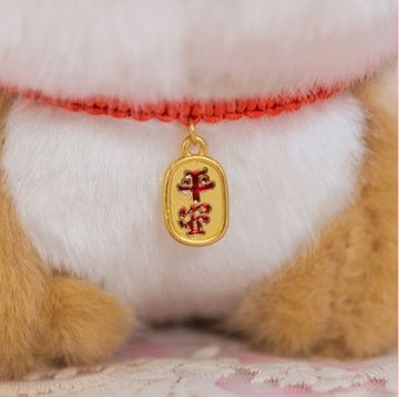 https://fulmo-img-server.com/mohumohudog/1792114444771_djjldv8q_2nmciwng.jpeg