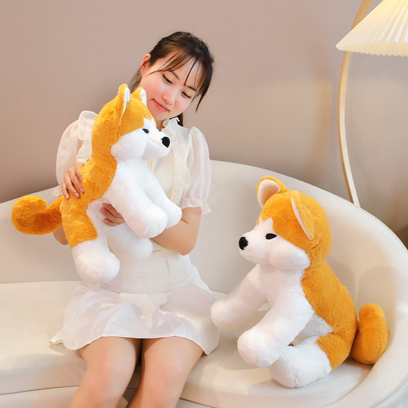 https://fulmo-img-server.com/mohumohudog/17dfe0be-08eb-4d5d-8c08-07a5d883a821.jpg