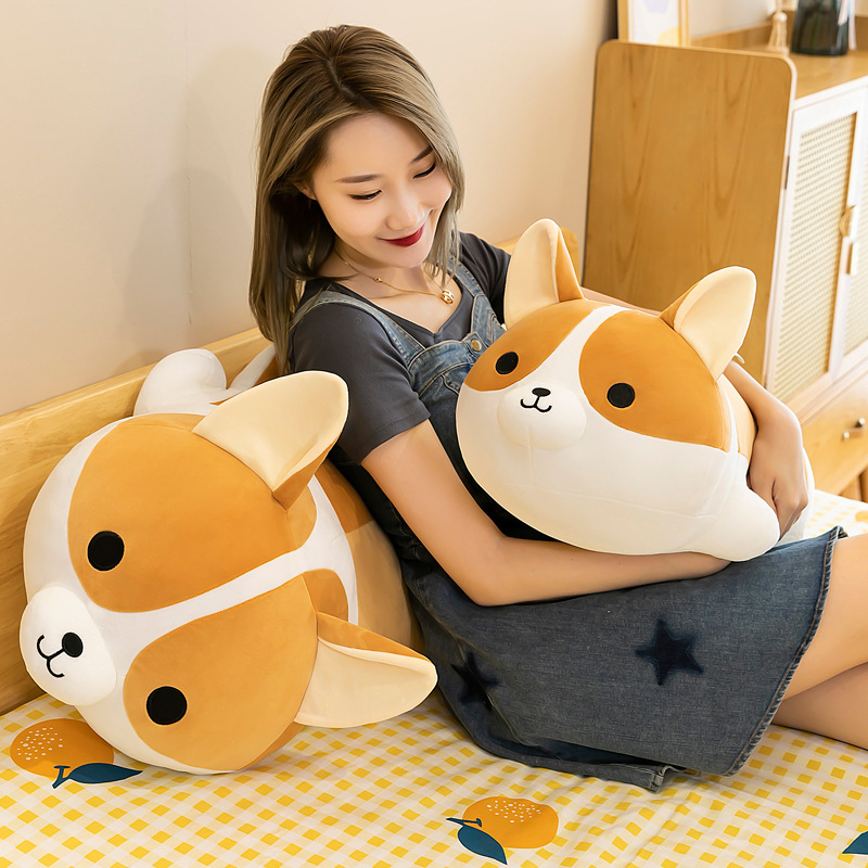 https://fulmo-img-server.com/mohumohudog/194042a6-322a-4de9-a8ae-47f8ec17695f.jpg