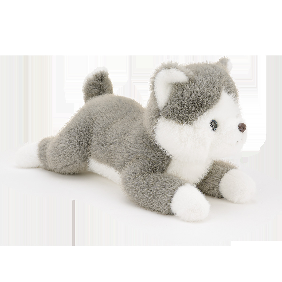 犬 ぬいぐるみ ふせポーズが愛らしい柴犬ぬいぐるみ