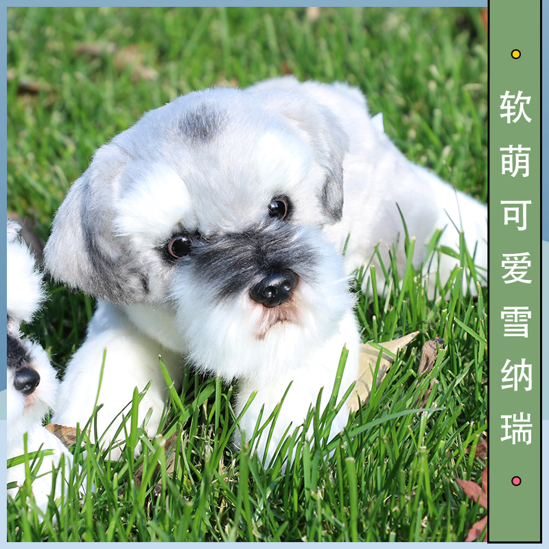 犬 ぬいぐるみ もふもふシュナウザーの友達