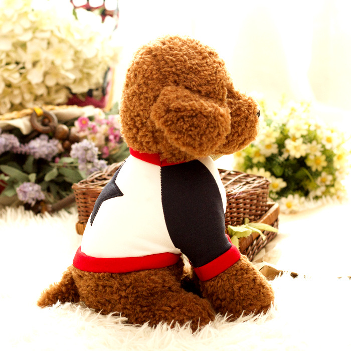 犬 ぬいぐるみ 星柄お洋服トイプードルぬいぐるみ