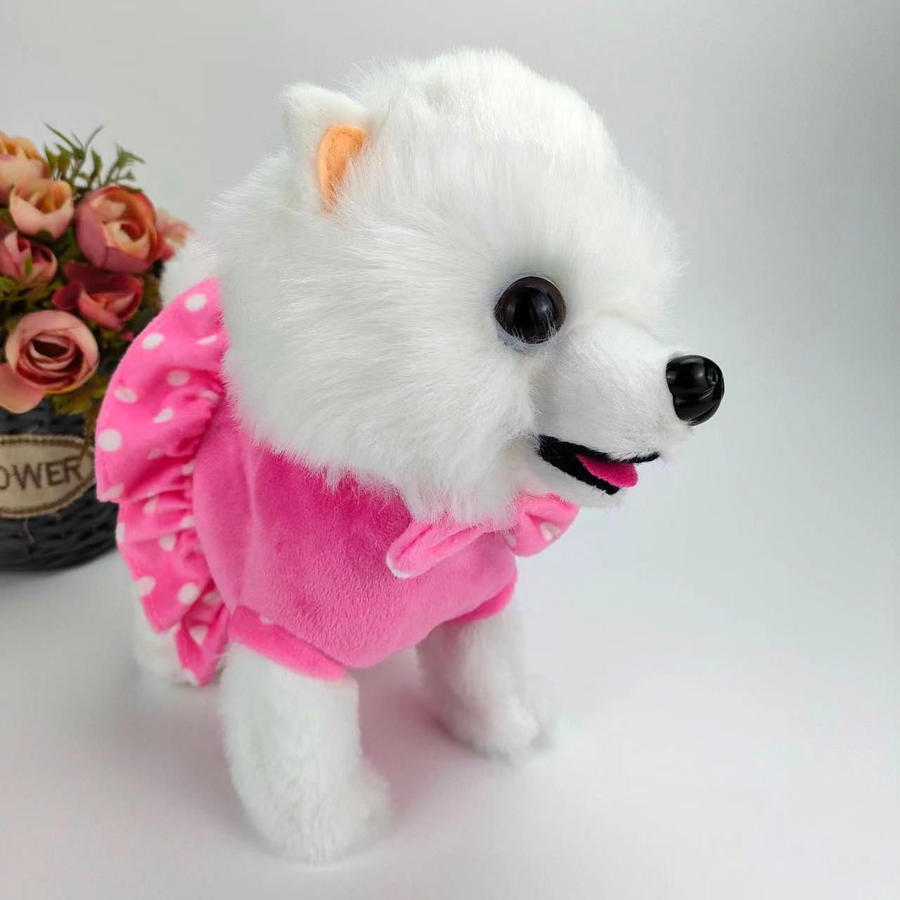 https://fulmo-img-server.com/mohumohudog/23d11b5b-3b03-4801-b6d0-5aa3be6e393d.jpg