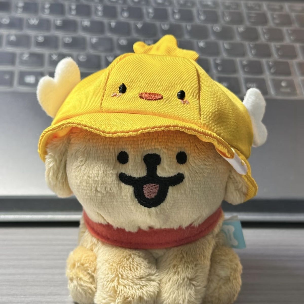 https://fulmo-img-server.com/mohumohudog/23f0d6fd-261b-4070-ac22-f87589d912f4.jpg