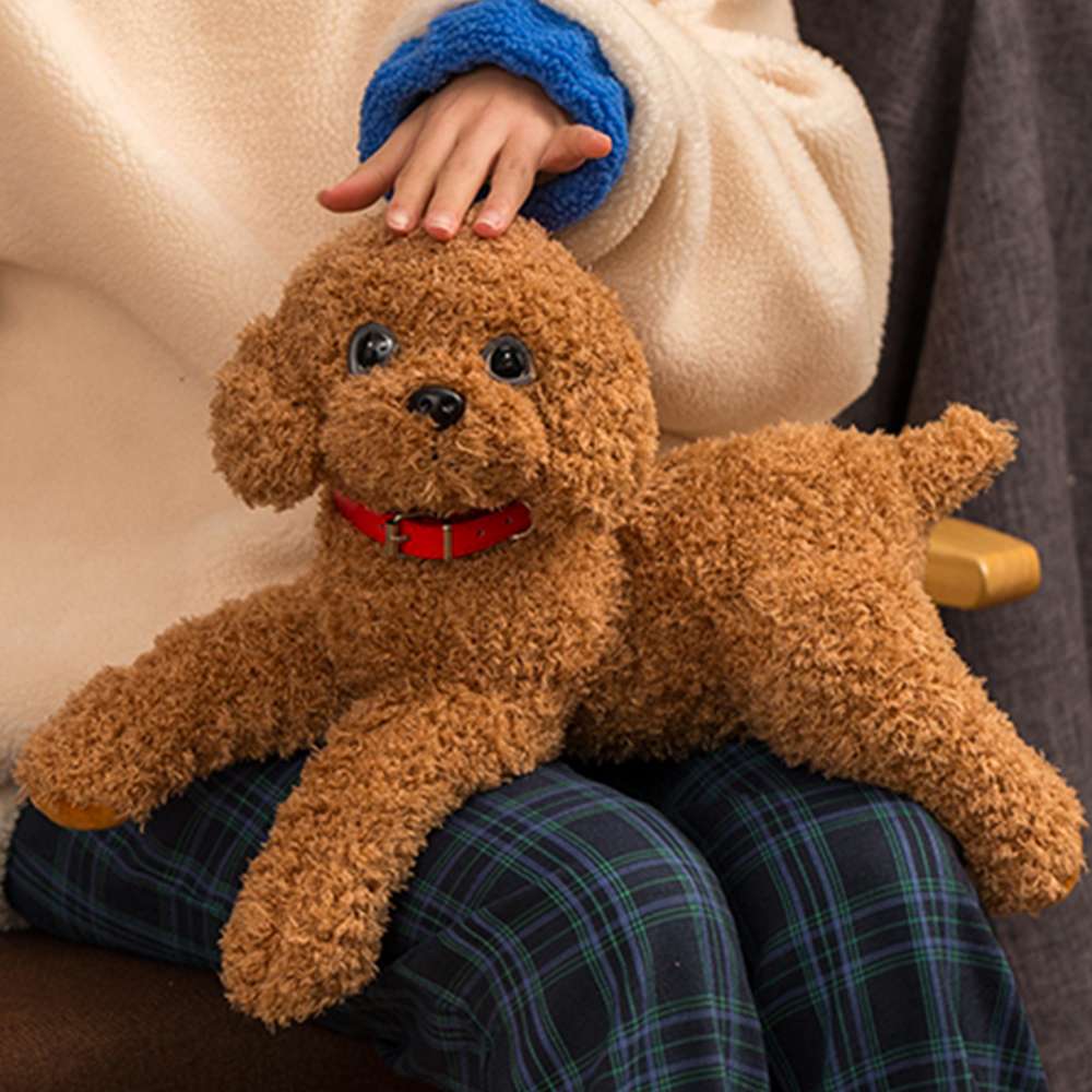 犬 ぬいぐるみ もふもふトイプードル抱きぐるみ