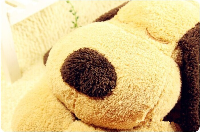 https://fulmo-img-server.com/mohumohudog/3bbbfc99-d248-4b3b-b8bd-a624810fd05b.jpg