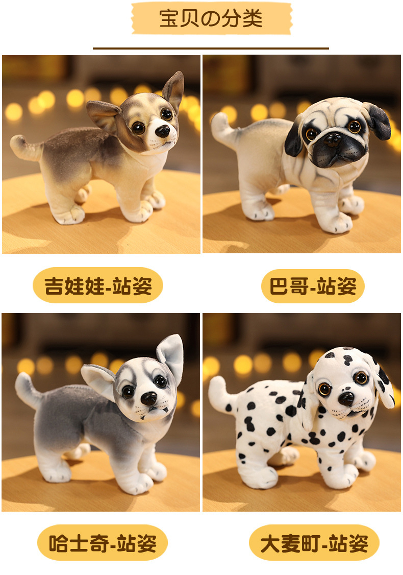 犬 ぬいぐるみ リアル表情の小型犬ぬいぐるみセット