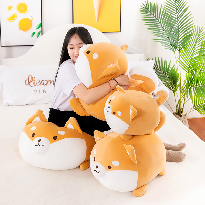 https://fulmo-img-server.com/mohumohudog/3d4d01df-2c72-43f8-a077-e70767e7fee6.jpg