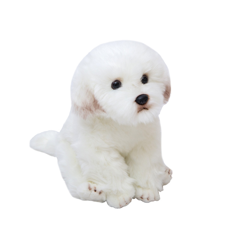 https://fulmo-img-server.com/mohumohudog/3fb1d2c6-56ae-414c-a830-9c8e9c69596b.jpg