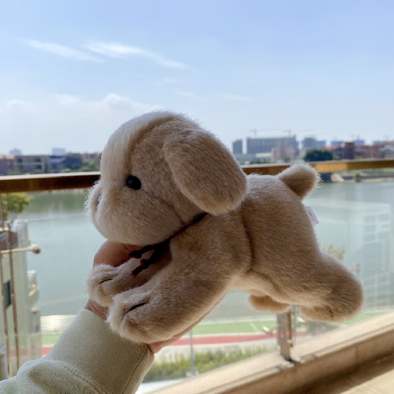 犬 ぬいぐるみ もふもふ子犬ちゃん