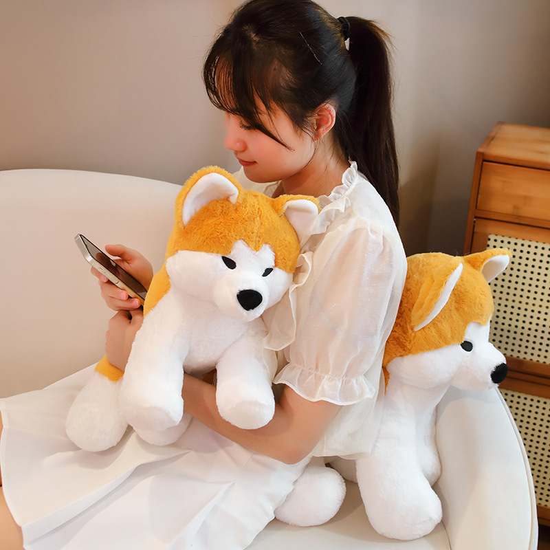 https://fulmo-img-server.com/mohumohudog/4a722ed3-88a0-4a22-949f-8902cc193727.jpg