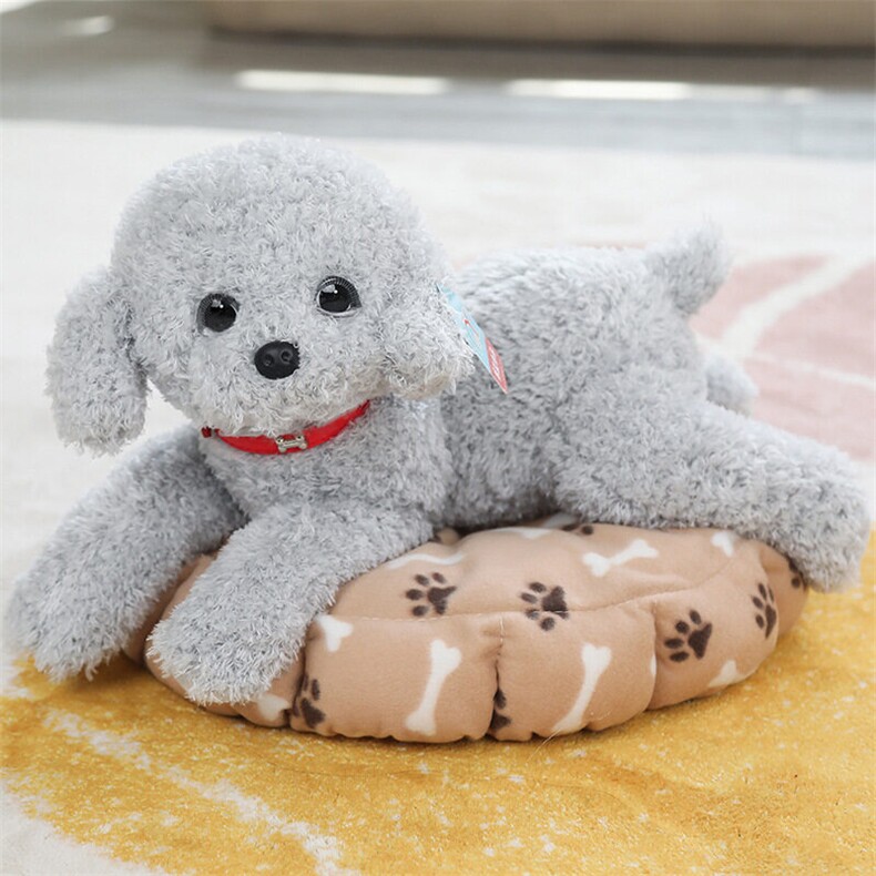https://fulmo-img-server.com/mohumohudog/53d2c879-ce06-4ff0-b522-4c5a76563a19.jpg