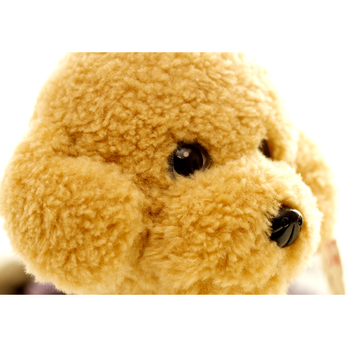 犬 ぬいぐるみ 星柄お洋服トイプードルぬいぐるみ