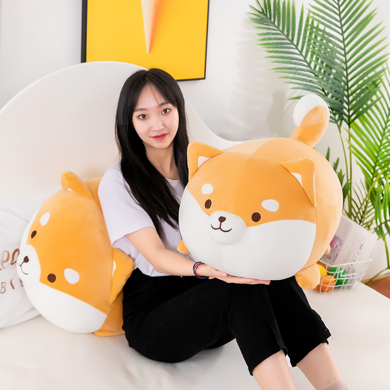 https://fulmo-img-server.com/mohumohudog/6112a7ef-56cd-49fb-8bf6-efc6c32a8140.jpg