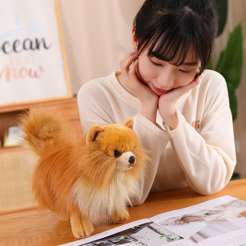 https://fulmo-img-server.com/mohumohudog/68a10572-f8cf-4578-a364-a3116f9f0799.jpg