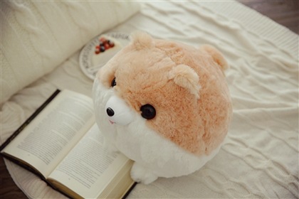 https://fulmo-img-server.com/mohumohudog/7560ee33-685e-4a7e-aa48-35f6b41e9495.jpg
