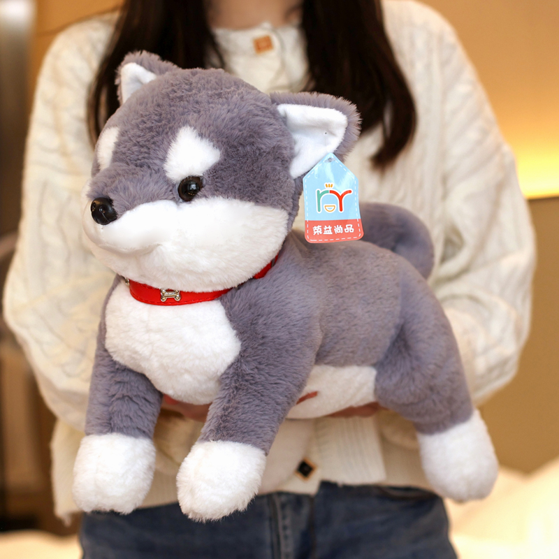 犬 ぬいぐるみ もふもふ寝そべり柴犬ちゃん