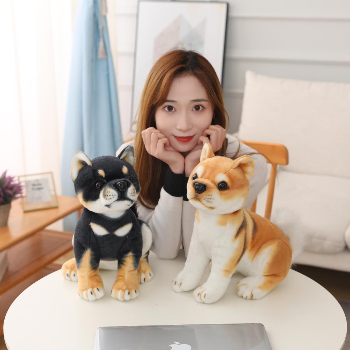 https://fulmo-img-server.com/mohumohudog/7bca5061-7300-4ce0-bd22-f8a12ed8cb4d.jpg