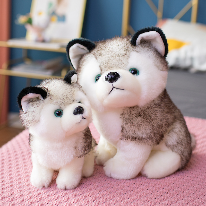 犬 ぬいぐるみ 柴犬ぬいぐるみ