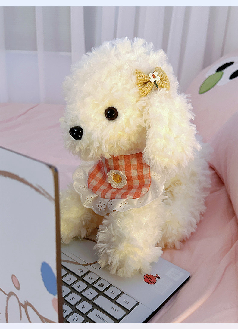 https://fulmo-img-server.com/mohumohudog/85bbfeb3-6fb0-4493-8be0-58d6d526fd78.jpg