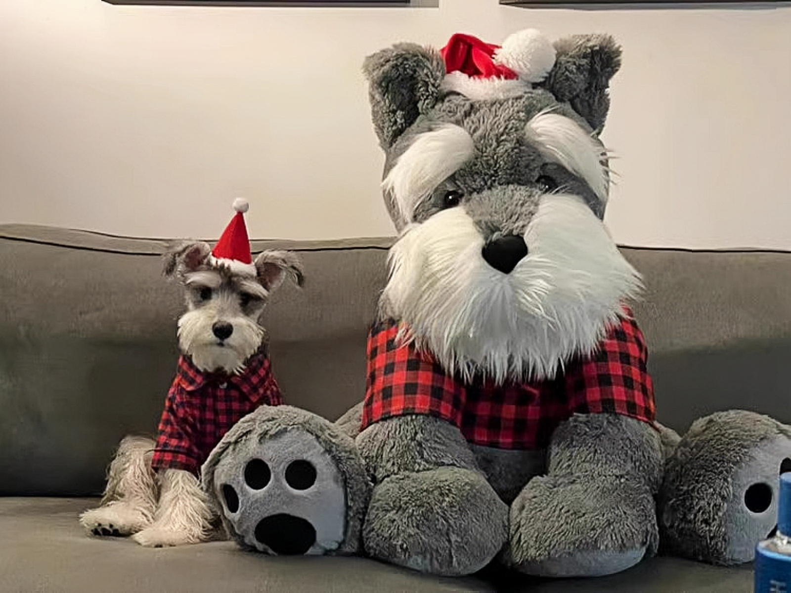 犬 ぬいぐるみ 冬の伴侶 もふもふシュナウザー