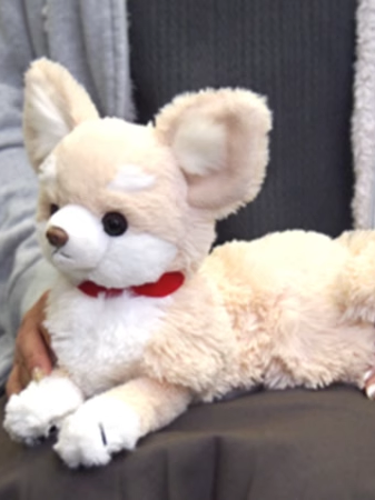 犬 ぬいぐるみ ふわもこプードルの夢うさぎ