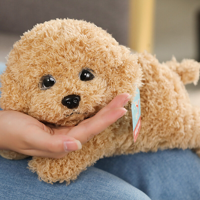 犬 ぬいぐるみ ふわもち抱きぬいぐるみプードル