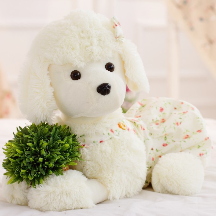 https://fulmo-img-server.com/mohumohudog/96f21df0-db91-4e5d-b50c-7cc94dc0d30f.jpg