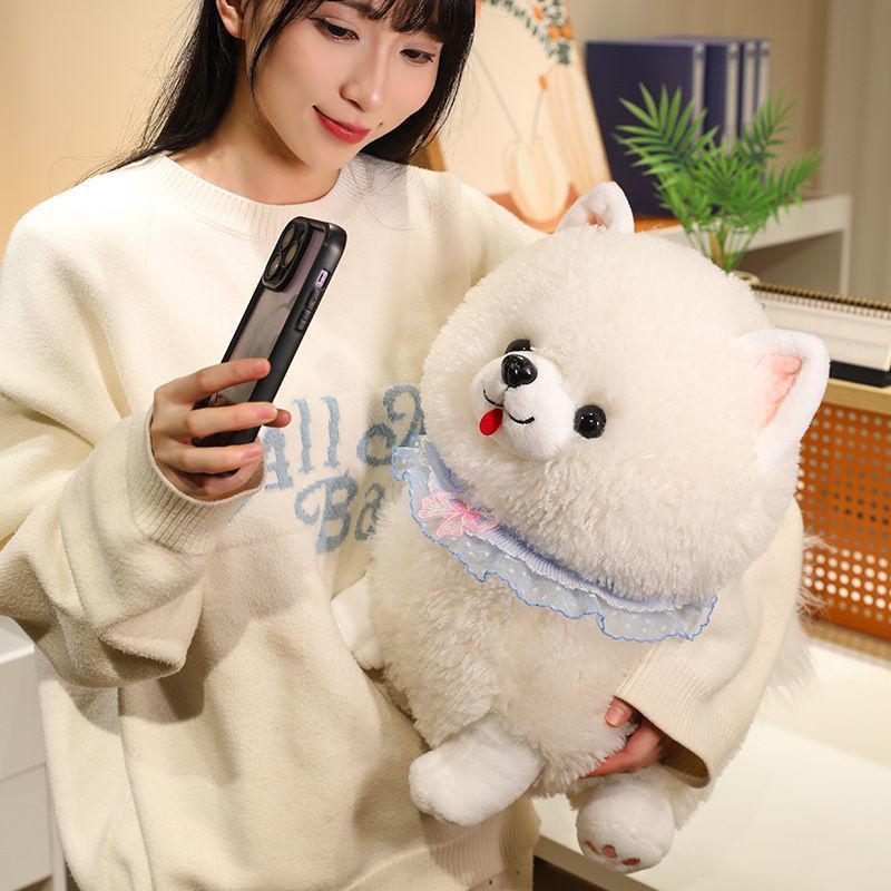 https://fulmo-img-server.com/mohumohudog/98d7b720-fc94-4db5-906b-dc5f689fbbf2.jpg
