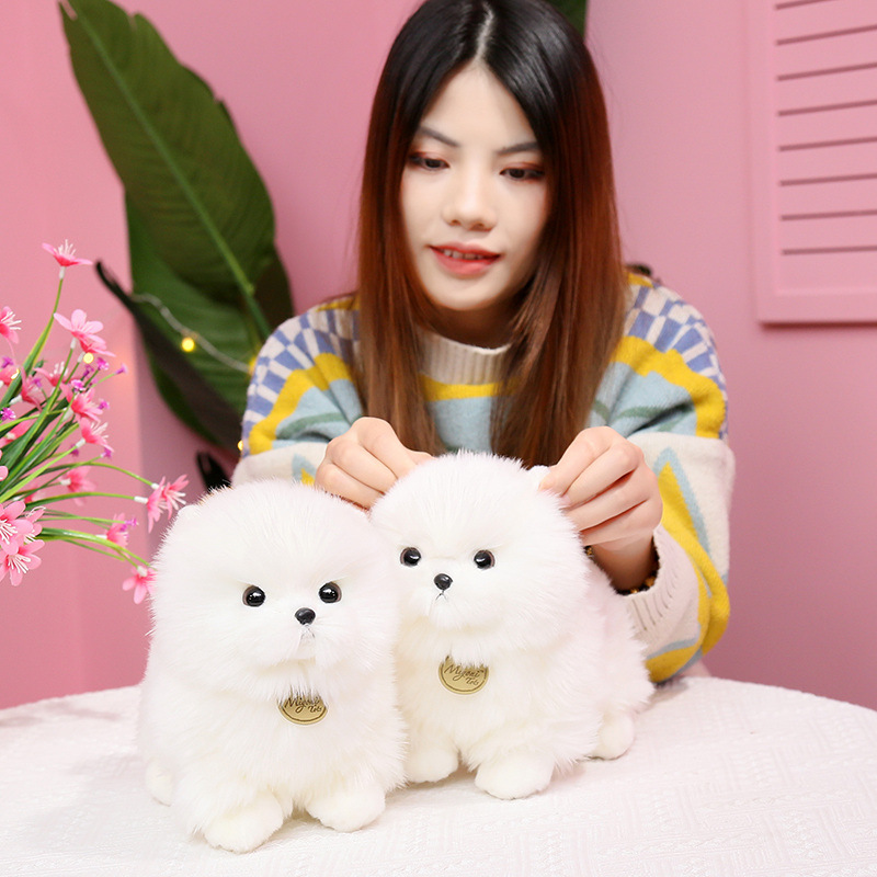 https://fulmo-img-server.com/mohumohudog/9ca937bf-a11a-4d3d-bbc8-eef3ede29d56.jpg