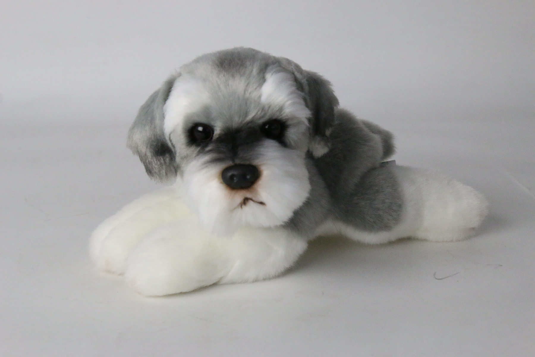 犬  シュナウザー ぬいぐるみ リアル伏せポーズ