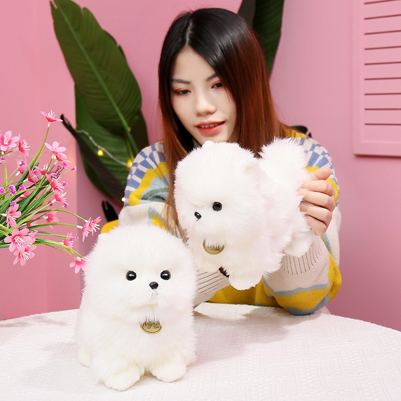 https://fulmo-img-server.com/mohumohudog/a3aead4e-795f-4ded-a6d6-c576a9f4c066.jpg