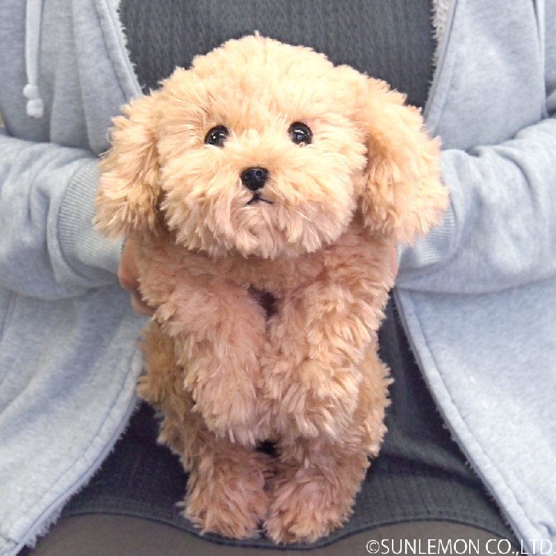 犬 ぬいぐるみ もふもふプードル抱き枕