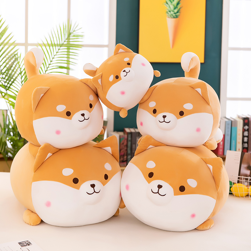 https://fulmo-img-server.com/mohumohudog/aedf22b3-9d8d-46b5-bab5-3f4cd24b024a.jpg