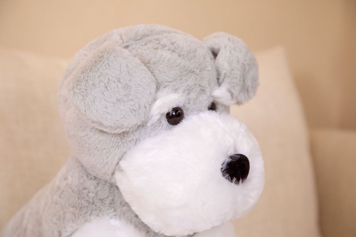 犬 ぬいぐるみ もふもふシュナウザーの癒し隊