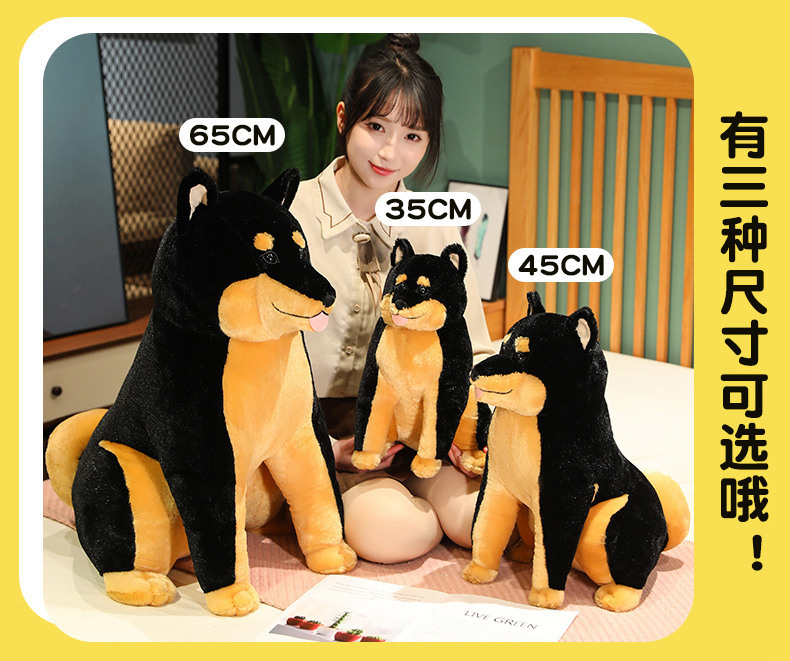 https://fulmo-img-server.com/mohumohudog/b9f27a89-1ff1-415d-afdc-f58fbbc983ac.jpg