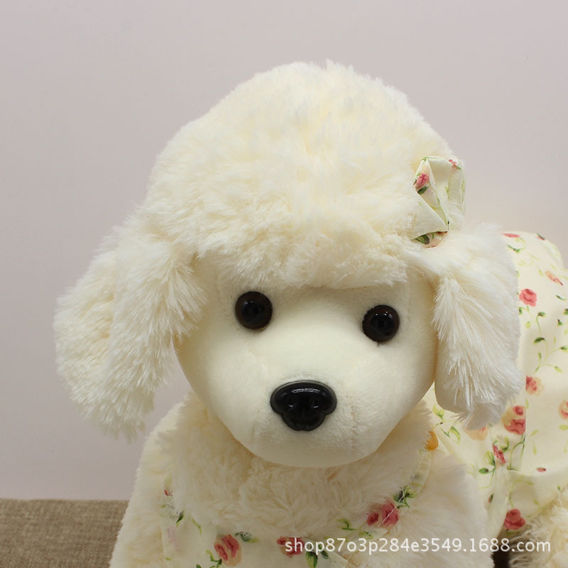 https://fulmo-img-server.com/mohumohudog/bfb3ec6a-ebed-49b7-b9bc-bdf9fd2f46dd.jpg