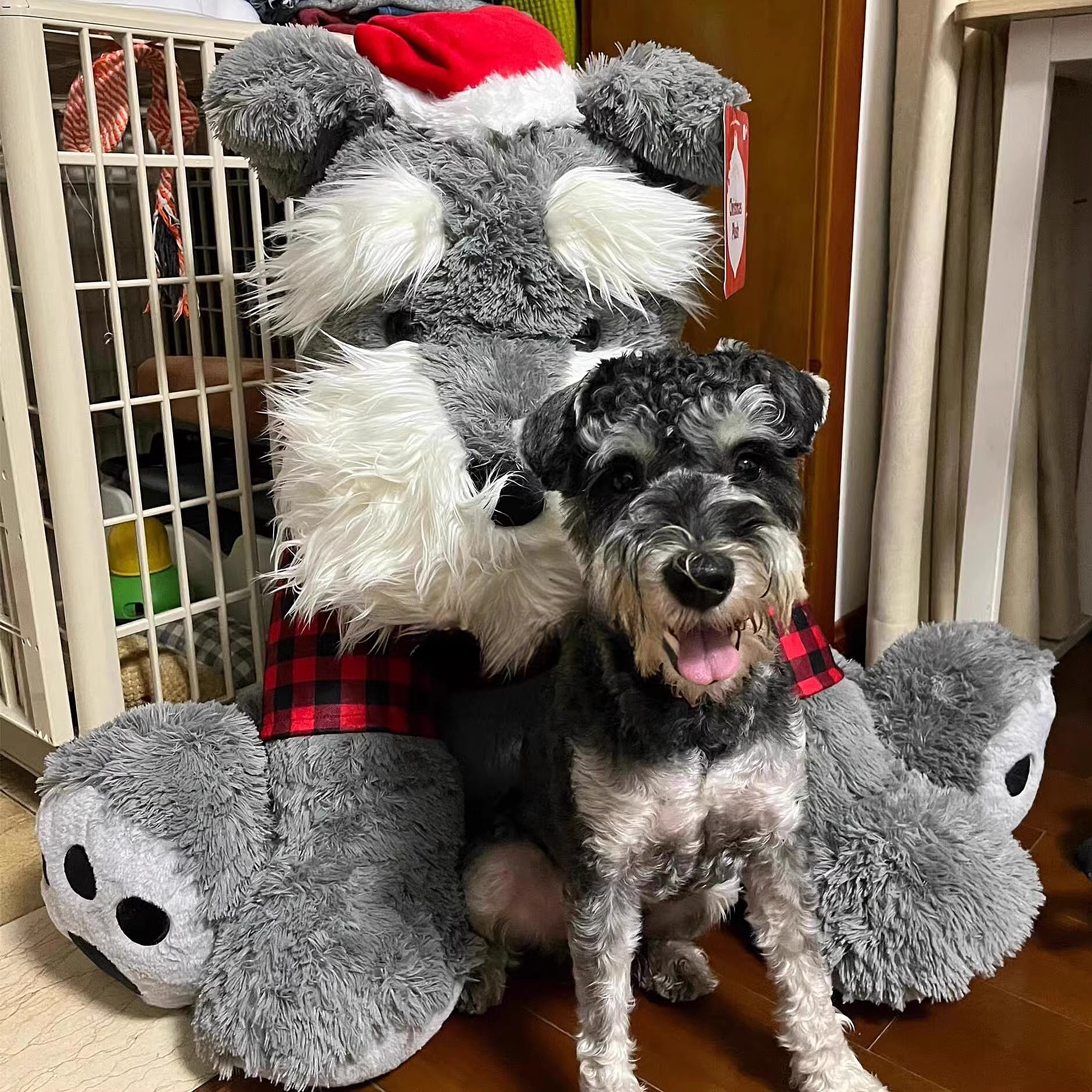 犬 ぬいぐるみ 冬の伴侶 もふもふシュナウザー