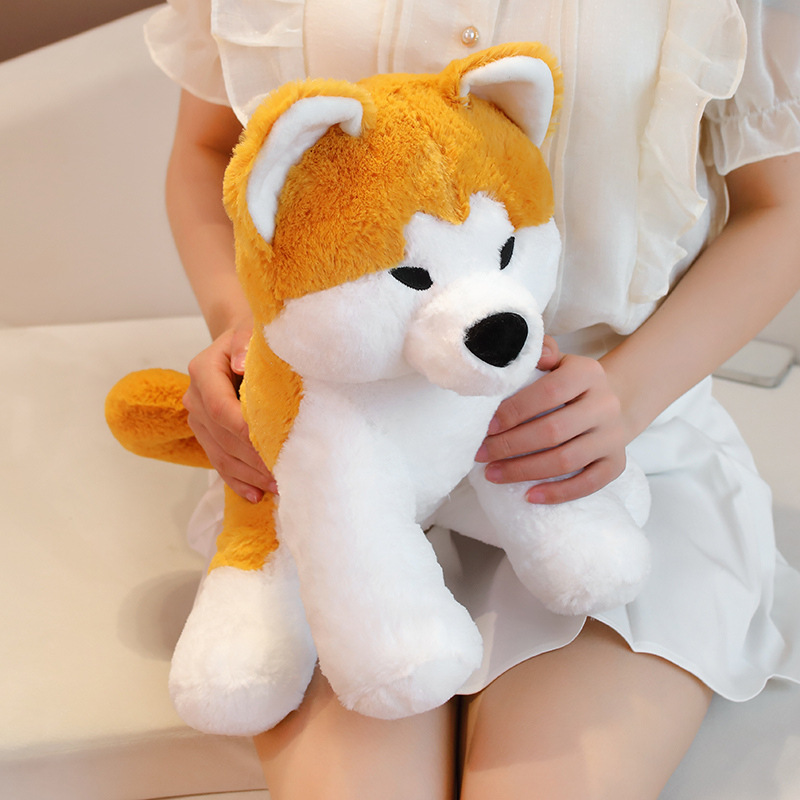 https://fulmo-img-server.com/mohumohudog/d0e9ee46-eaea-41c2-a4fb-8596df018c85.jpg