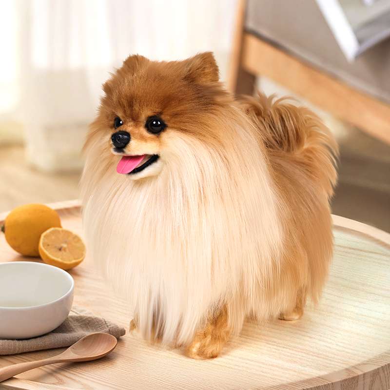 犬 ぬいぐるみ もふもふ王子の癒しポメラニアン