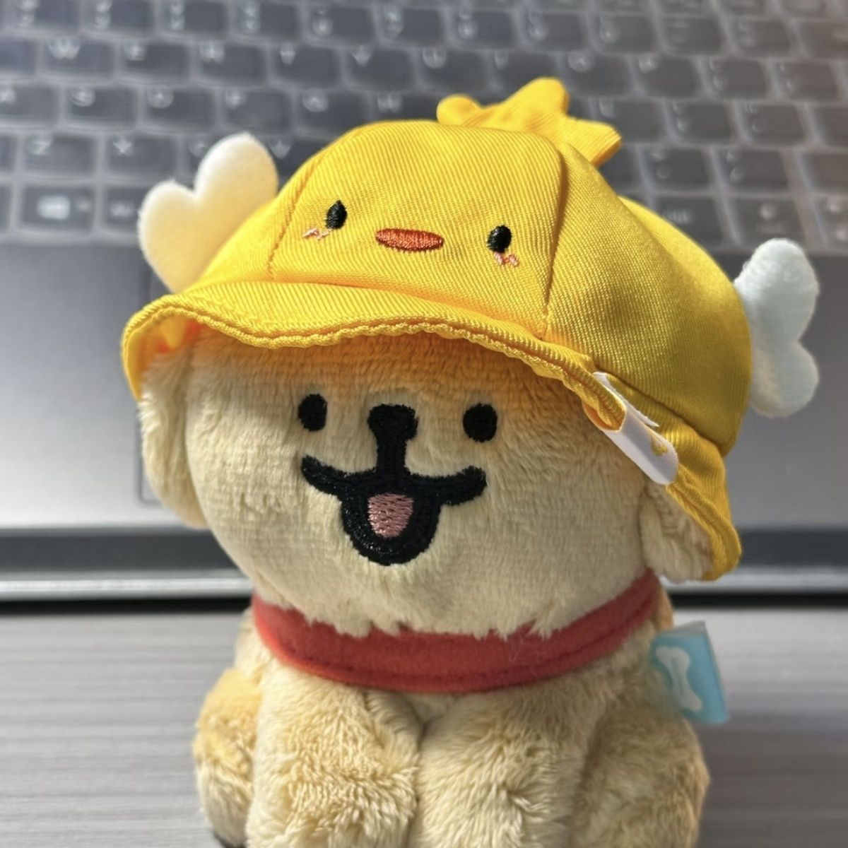 https://fulmo-img-server.com/mohumohudog/db29f787-cf35-4678-99ae-f434665937ae.jpg