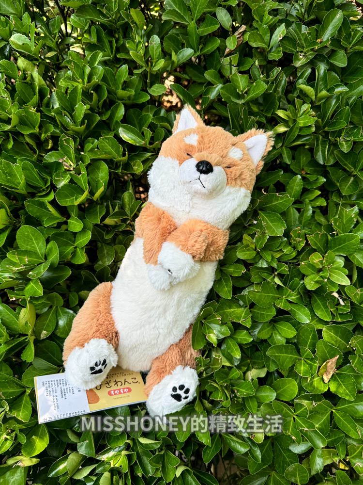 犬 ぬいぐるみ もふもふトイプードルの親友
