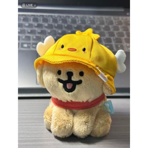 https://fulmo-img-server.com/mohumohudog/e712591c-f3ce-41ee-b6f9-7b67b11fc7c3.jpg