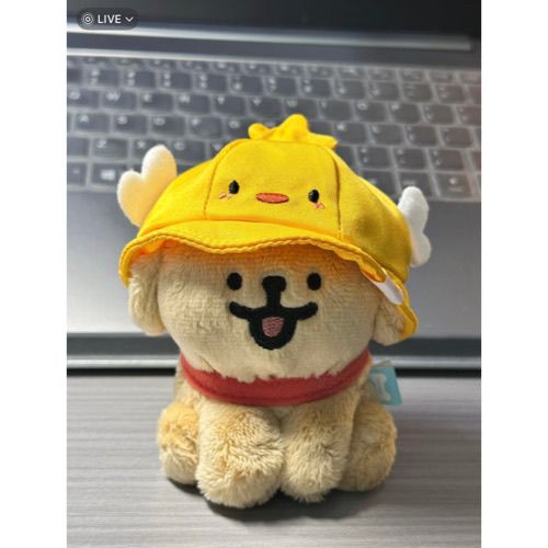https://fulmo-img-server.com/mohumohudog/e73e6a70-baf5-48ac-b446-814a24c18b67.jpg