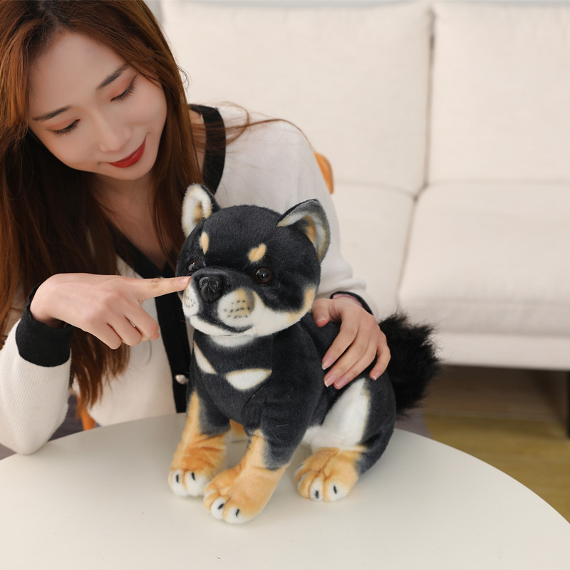 https://fulmo-img-server.com/mohumohudog/e80e1ffd-dc35-4966-b8e1-6f98ba2d66cc.jpg