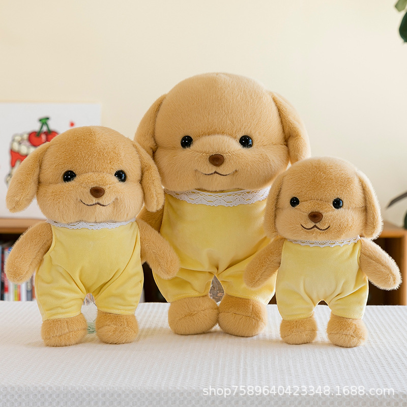 https://fulmo-img-server.com/mohumohudog/e8e98fb7-a075-4dfd-8ba2-b82bc52d9532.jpg