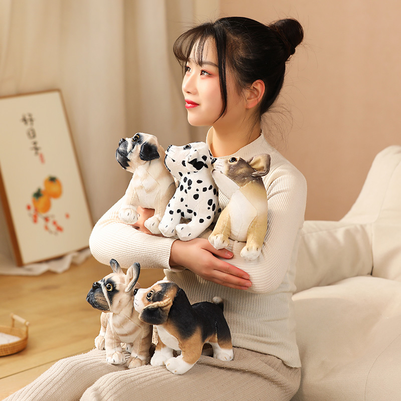 https://fulmo-img-server.com/mohumohudog/f346799c-f927-4887-8669-7dd93e28d378.jpg